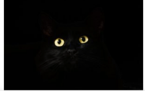 Quiet Eye theory: non-existing black cat in a dark room?